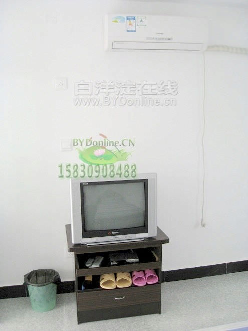 空调彩电白洋淀农家院