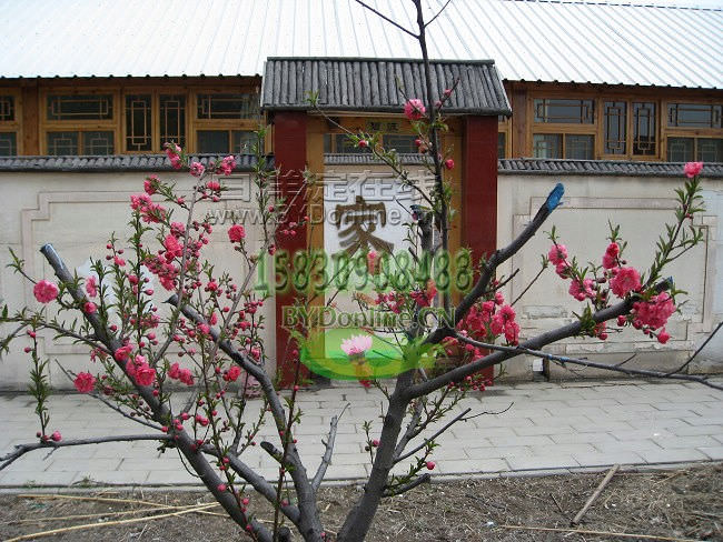 白洋淀小套院