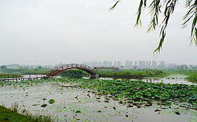 白洋淀旅游攻略之保定白洋淀旅游景点荷花大观园一角