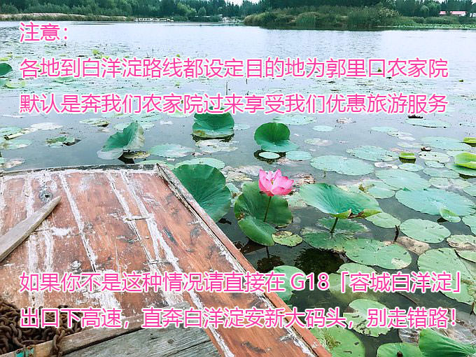 白洋淀自驾一日游攻略提醒游客：不是奔我们农家院来的请直接开车到安新旅游大码头