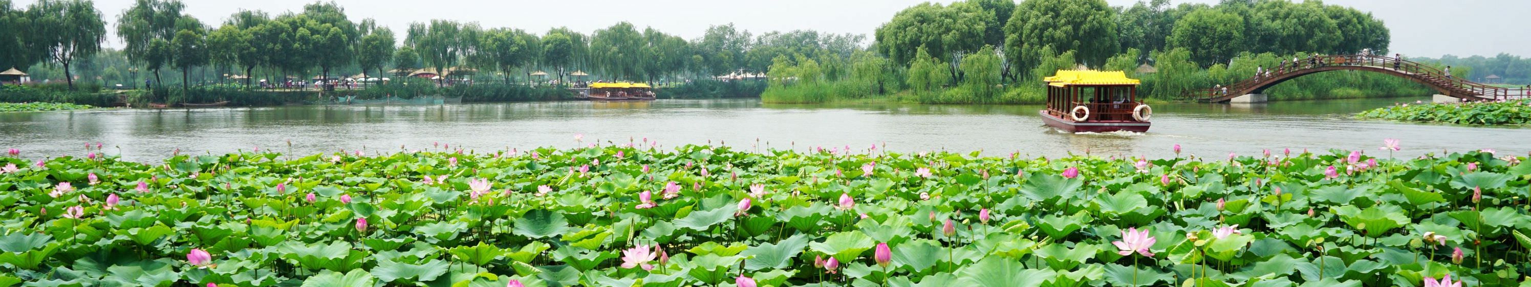 在白洋淀旅游景点中一日游二日游