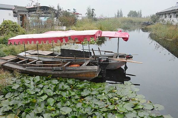 白洋淀景区门票多少钱郭里口木船图-后面带浆机