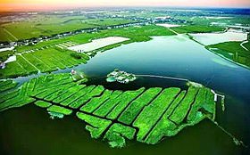 白洋淀在哪里？从高空鸟瞰白洋淀水域图