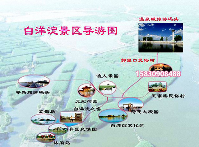 白洋淀在哪儿-白洋淀地图之旅游景点分布图