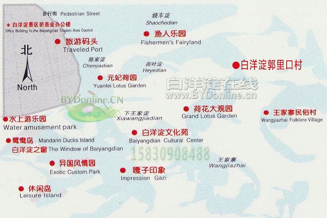 白洋淀郭里口村位于白洋淀腹地离景点最近