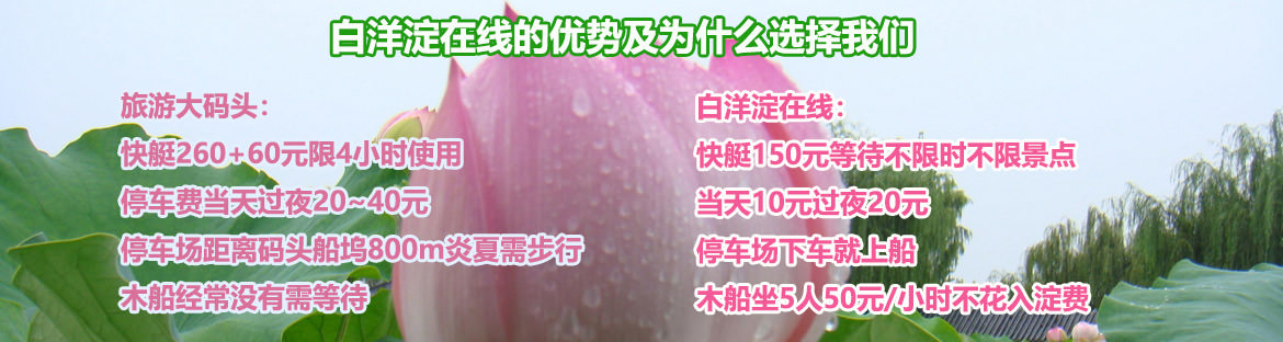 白洋淀在线比旅游大码头的优势
