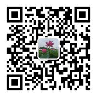 白洋淀在线微信二维码