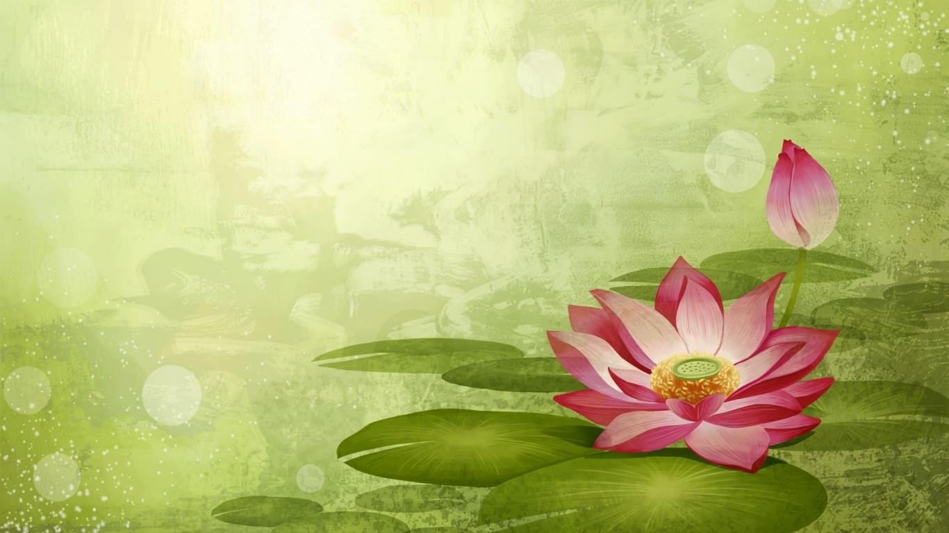 白洋淀风光之ps电脑