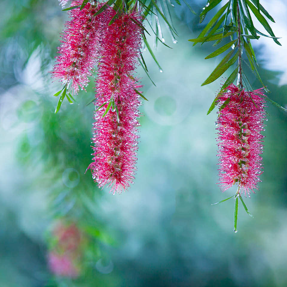 白洋淀清明节好玩吗？