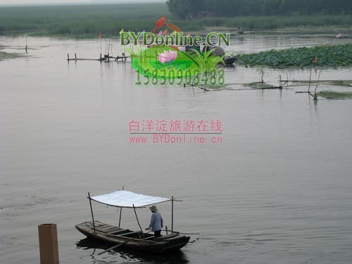 白洋淀农家院对面是游泳场