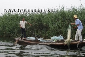 白洋淀鱼网捕鱼