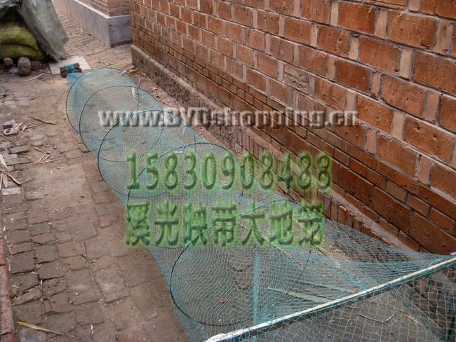 大地笼后兜的样子