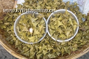白洋淀本地菱角