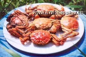 白洋淀名吃_水煮河蟹 白洋淀名吃_水煮河蟹