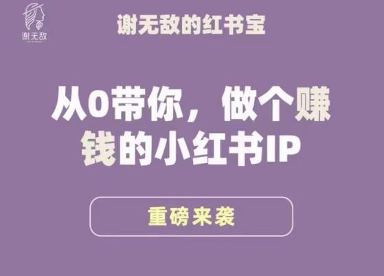 谢无敌·小红书运营大宝典，从0带你做个赚钱的小红书IP-轻松搞定副业 - 高效赚钱方法和建议