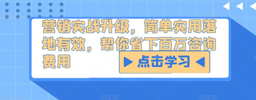 营销实战升级，简单实用落地有效，帮你省下百万咨询费用-轻松搞定副业 - 高效赚钱方法和建议