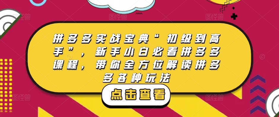 拼多多实战宝典“初级到高手”，新手小白必看拼多多课程，带你全方位解读拼多多各种玩法-轻松搞定副业 - 高效赚钱方法和建议