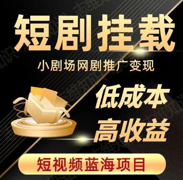 2023短视频蓝海项目，抖音快手短剧推广变现教程，低成本高收益-轻松搞定副业 - 高效赚钱方法和建议