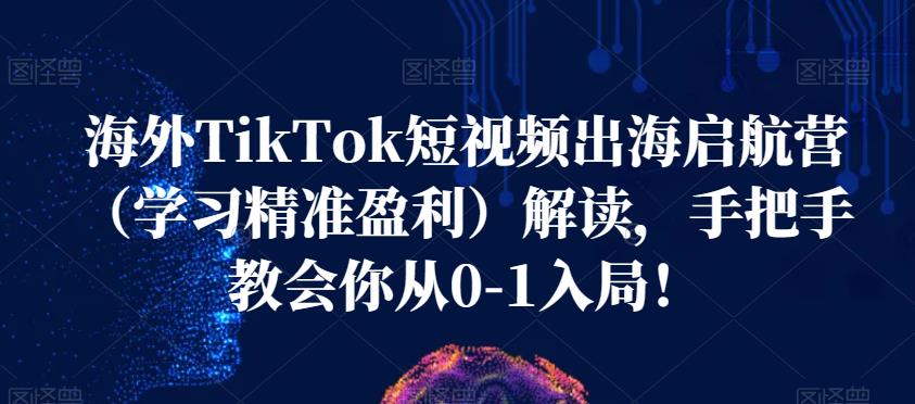海外TikTok短视频出海启航营（学习精准盈利）解读，手把手教会你从0-1入局！-轻松搞定副业 - 高效赚钱方法和建议