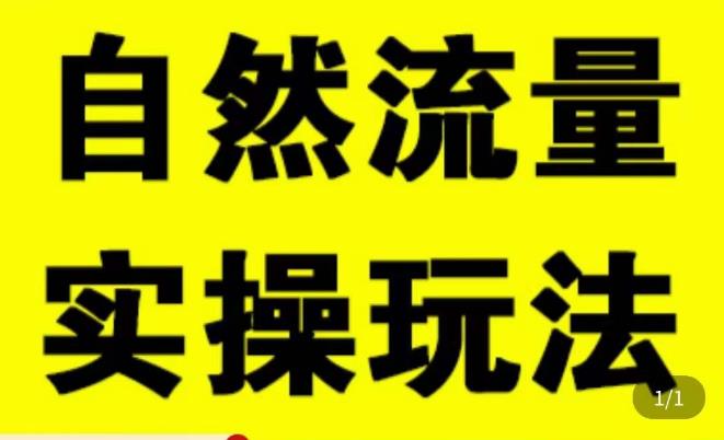 拼多多自然流量天花板，拼多多自然流的实操玩法，自然流量是怎么来的，如何开车带来自然流等知识-轻松搞定副业 - 高效赚钱方法和建议