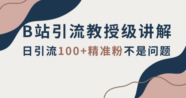 B站引流教授级讲解，细节满满，日引流100+精准粉不是问题【揭秘】-轻松搞定副业 - 高效赚钱方法和建议