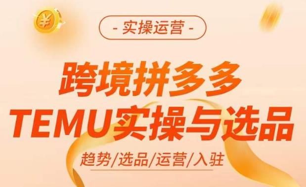 跨境拼多多TEMU实操与选品，​掌握平台运营方法技巧，选品避坑12条标准，爆款的底层思路等-轻松搞定副业 - 高效赚钱方法和建议