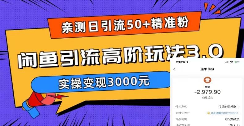 亲测日引50+精准粉，闲鱼引流高阶玩法3.0，实操变现3000元【揭秘】-轻松搞定副业 - 高效赚钱方法和建议