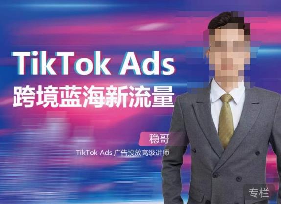 稳哥·如何投出高ROI的TikTok广告，开拓独立站卖家流量新蓝海-轻松搞定副业 - 高效赚钱方法和建议