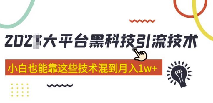大平台黑科技引流技术，小白也能靠这些技术混到月入1w+(2022年的课程）-轻松搞定副业 - 高效赚钱方法和建议