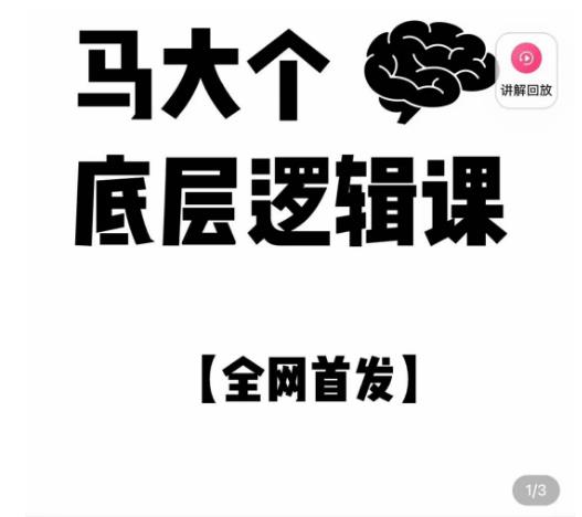 马大个·底层逻辑课，51节底层逻辑智慧课-价值1980元-轻松搞定副业 - 高效赚钱方法和建议