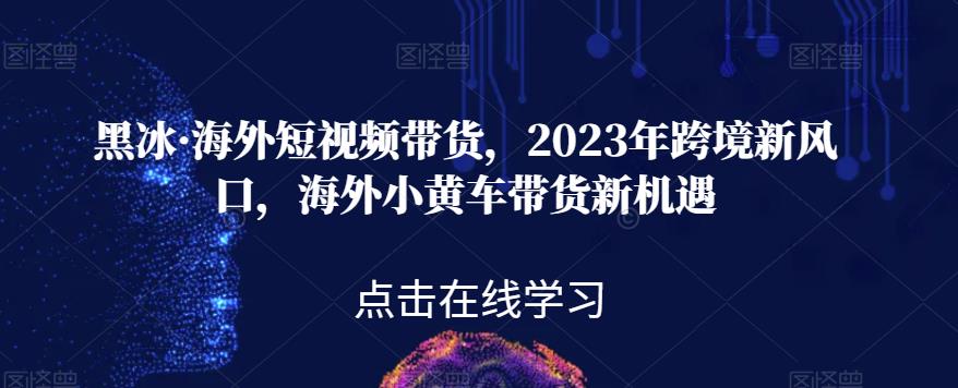 黑冰·海外短视频带货，2023年跨境新风口，海外小黄车带货新机遇-轻松搞定副业 - 高效赚钱方法和建议