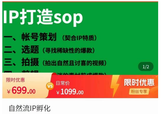 瑶瑶·自然流IP孵化，系统掌握IP孵化全流程，也能学到选题，剪辑，账号运营经验-轻松搞定副业 - 高效赚钱方法和建议