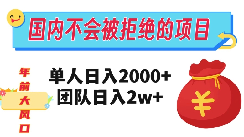 在国内不怕被拒绝的项目，单人日入2000，团队日入20000+【揭秘】-轻松搞定副业 - 高效赚钱方法和建议