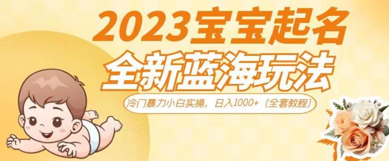 2023宝宝起名全新蓝海玩法，冷门暴力小白实操，日入1000+（全套教程）【揭秘】-轻松搞定副业 - 高效赚钱方法和建议
