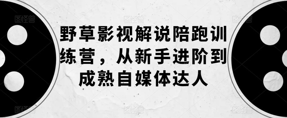野草影视解说陪跑训练营，从新手进阶到成熟自媒体达人-轻松搞定副业 - 高效赚钱方法和建议