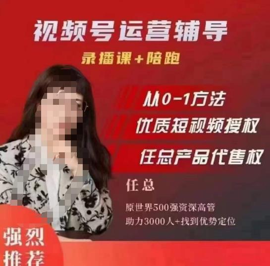任姐视频号运营，懂老板的任总视频号短视频运营，从0到1做视频号课程-轻松搞定副业 - 高效赚钱方法和建议