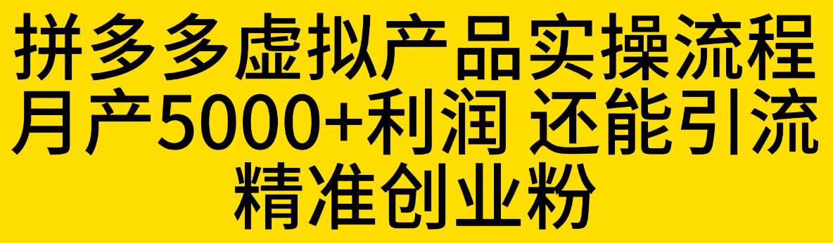 拼多多虚拟产品实操流程，月产5000+利润，还能引流精准创业粉【揭秘】-轻松搞定副业 - 高效赚钱方法和建议