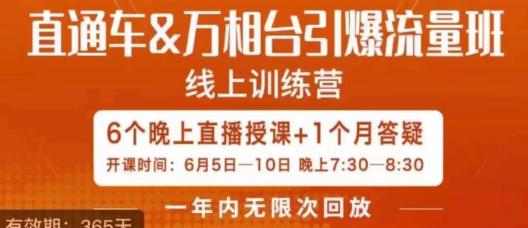 直通车&万相台引爆流量班，6天打通你开直通车·万相台的任督二脉-轻松搞定副业 - 高效赚钱方法和建议