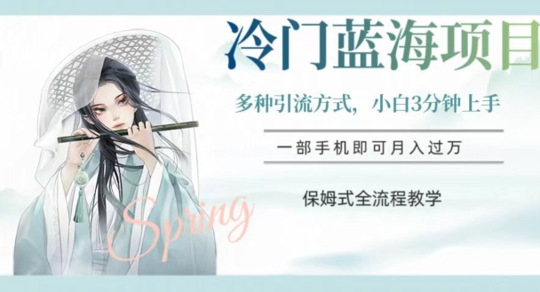 冷门蓝海项目，操作简单，小白3分钟上手，多种引流方式，保姆式全流程教学【揭秘】-轻松搞定副业 - 高效赚钱方法和建议
