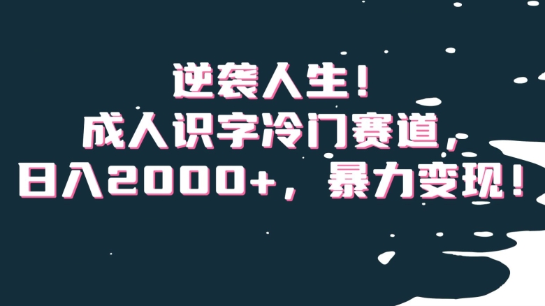 逆袭人生！成人识字冷门赛道，日入2000+，暴力变现！【揭秘】-轻松搞定副业 - 高效赚钱方法和建议