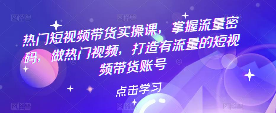 热门短视频带货实操课，掌握流量密码，做热门视频，打造有流量的短视频带货账号-轻松搞定副业 - 高效赚钱方法和建议
