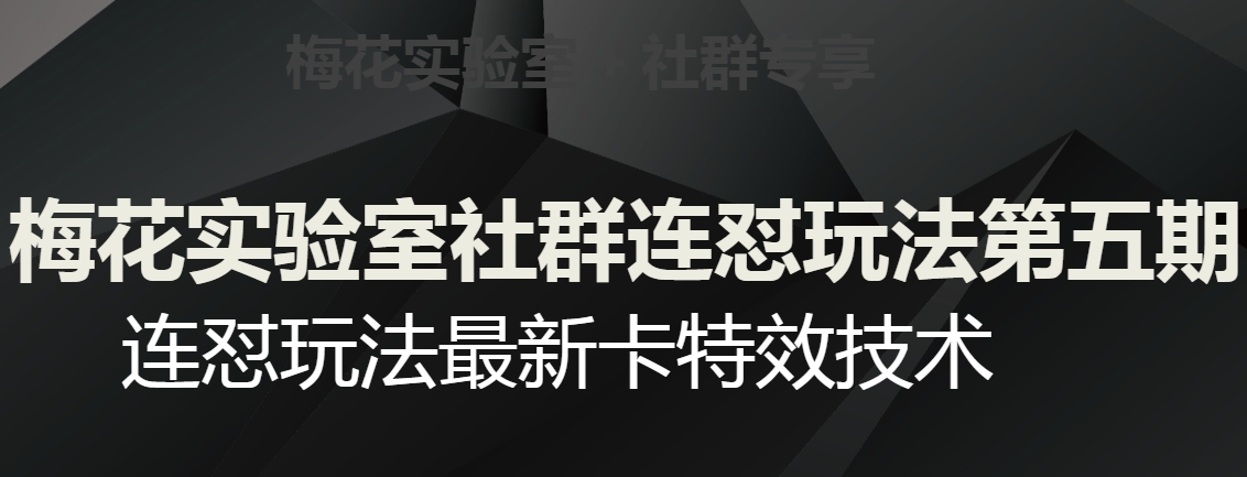 梅花实验室社群连怼玩法第五期，视频号连怼玩法最新卡特效技术-轻松搞定副业 - 高效赚钱方法和建议
