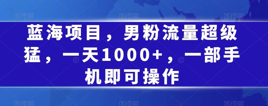 蓝海项目，男粉流量超级猛，一天1000+，一部手机即可操作【揭秘】-轻松搞定副业 - 高效赚钱方法和建议