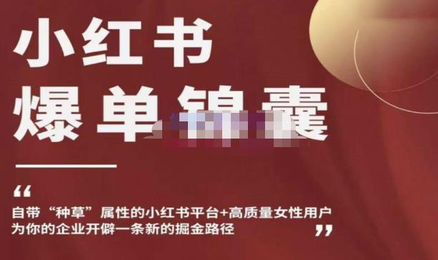 小红书爆单锦囊，自带种草属性+高质量女性用户，为你的企业开辟一条新的掘金路径-轻松搞定副业 - 高效赚钱方法和建议