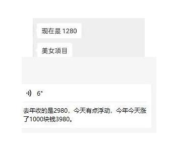 东哲·短视频男女搭档变现，立刻做立刻赚一劳永逸的私域成交项目-轻松搞定副业 - 高效赚钱方法和建议