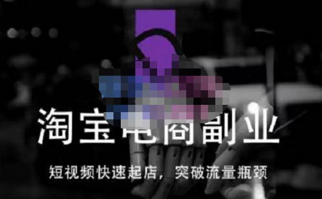 蓝Sir派·淘宝短视频快速起店，替代传统搜索方式，学会做一个不一样的淘宝店-轻松搞定副业 - 高效赚钱方法和建议