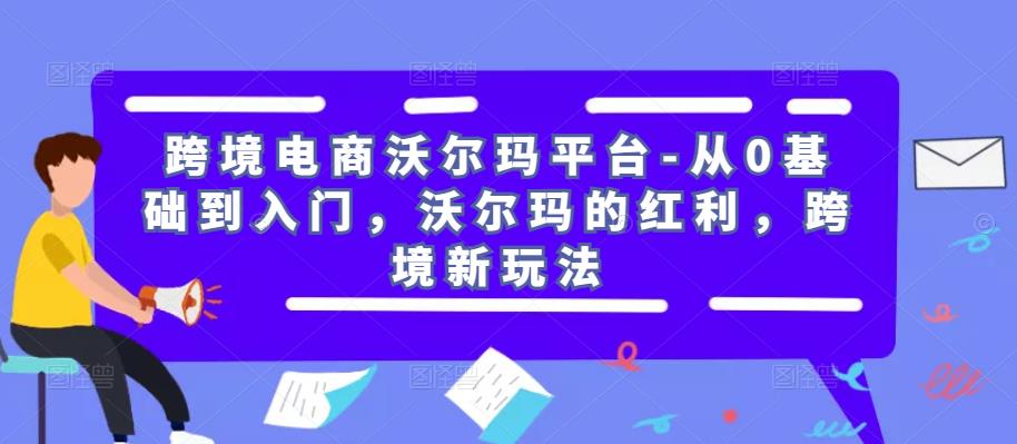 跨境电商沃尔玛平台-从0基础到入门，沃尔玛的红利，跨境新玩法-轻松搞定副业 - 高效赚钱方法和建议