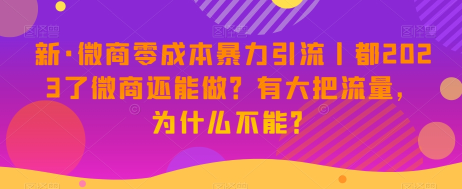 新·微商零成本暴力引流丨都2023了微商还能做？有大把流量，为什么不能？-轻松搞定副业 - 高效赚钱方法和建议