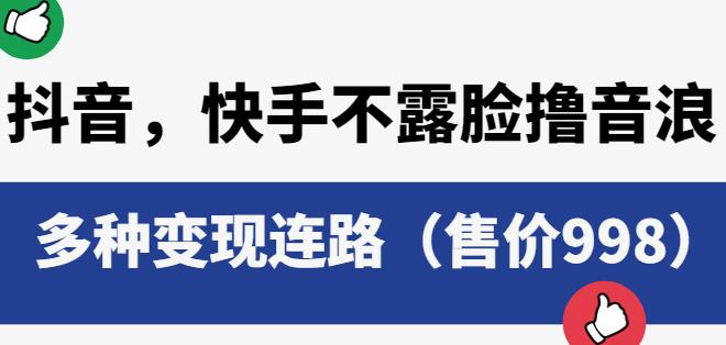 抖音快手不露脸撸音浪项目，多种变现连路（售价998）-轻松搞定副业 - 高效赚钱方法和建议