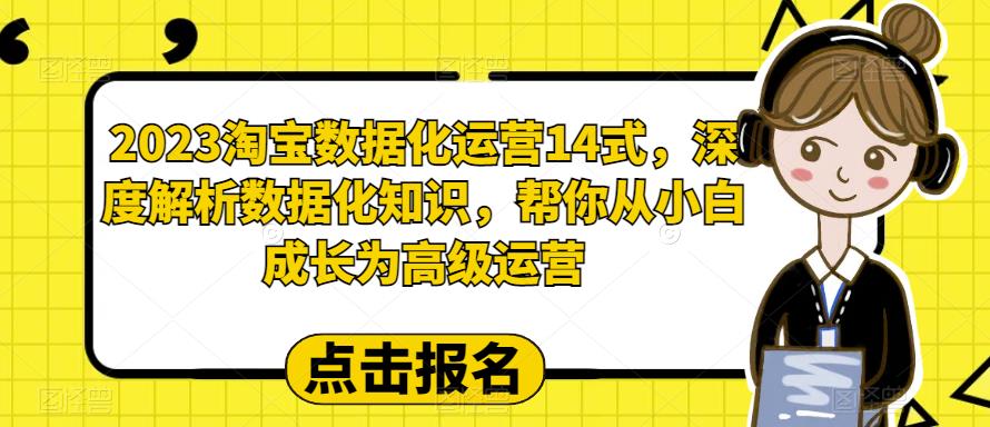 2023淘宝数据化运营14式，深度解析数据化知识，帮你从小白成长为高级运营-轻松搞定副业 - 高效赚钱方法和建议